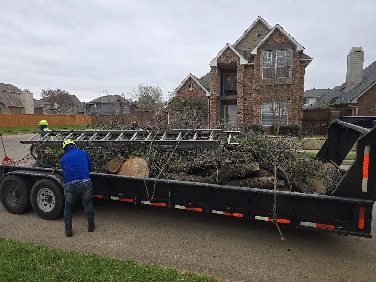 Expert Crown Reduction with proper safety equipment in Brownville